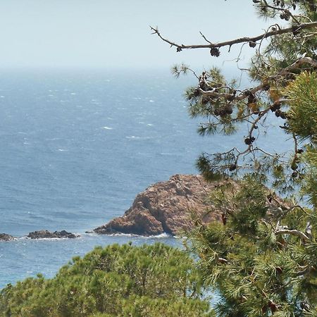 2 Bedroom Amazing Apartment In Tossa De Mar Exterior photo